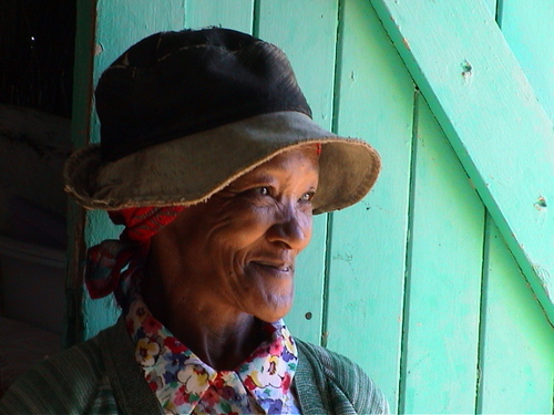 Une productrice de Thé Rooibos (thé rouge) en Afrique du Sud